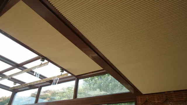 咖啡有伴侶，陽光房的伴侶是蜂巢？（圖）_7