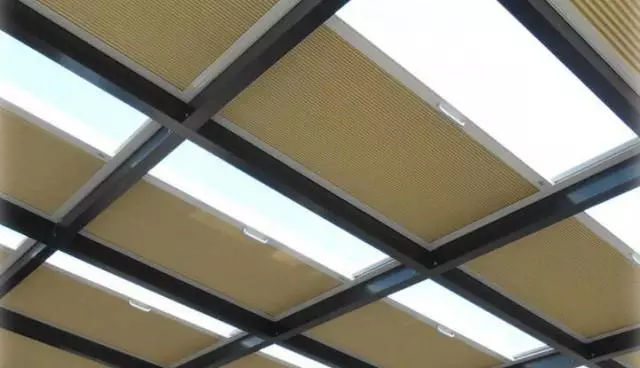 咖啡有伴侶，陽光房的伴侶是蜂巢？（圖）_8