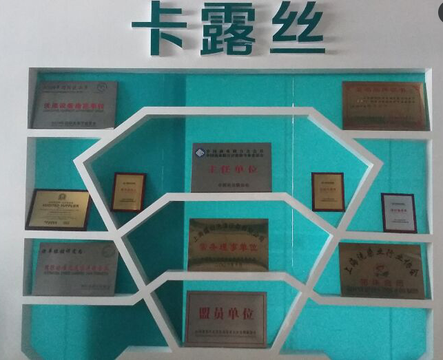 創(chuàng)業(yè)就選家電清洗加盟卡露絲全程扶持_1