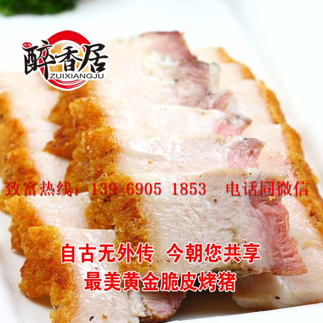 天津黄金脆皮烤猪加盟总部（图）_1