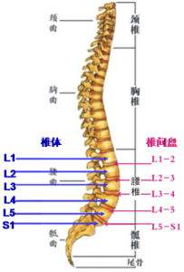 如果你有以下情况，强烈建议你看看_2