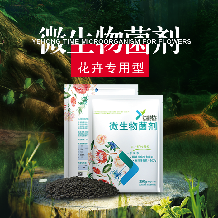 上海種蘭花用什么肥料好（圖）_1