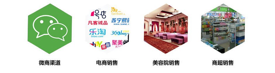 黑枸杞植物飲品代工ODM（圖）_1