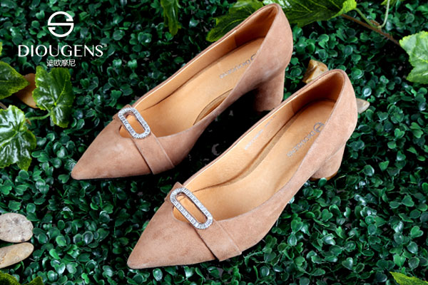 鞋子加盟商迪歐摩尼贏取更廣闊的市場(chǎng)，創(chuàng)造財(cái)富。_1