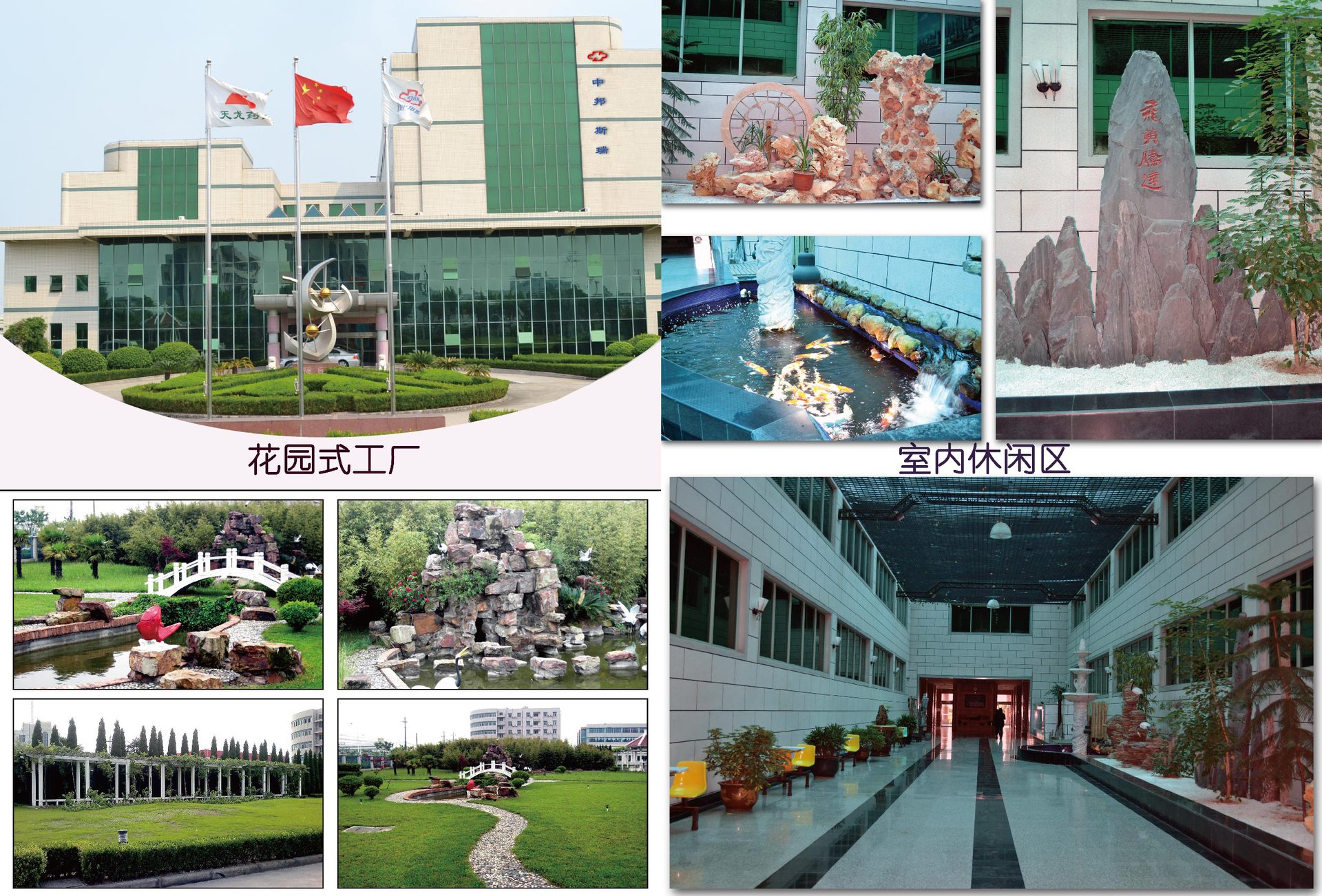 上海膠原蛋白雪蓮飲料代工來配方定制_3