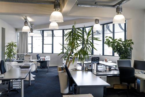 山東帶路品牌策劃公司（圖）_4