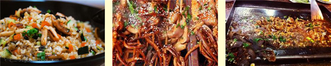 邵陽正宗鐵板燒培訓(xùn)_1