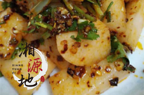 湖南正宗泡菜技術(shù)培訓_3