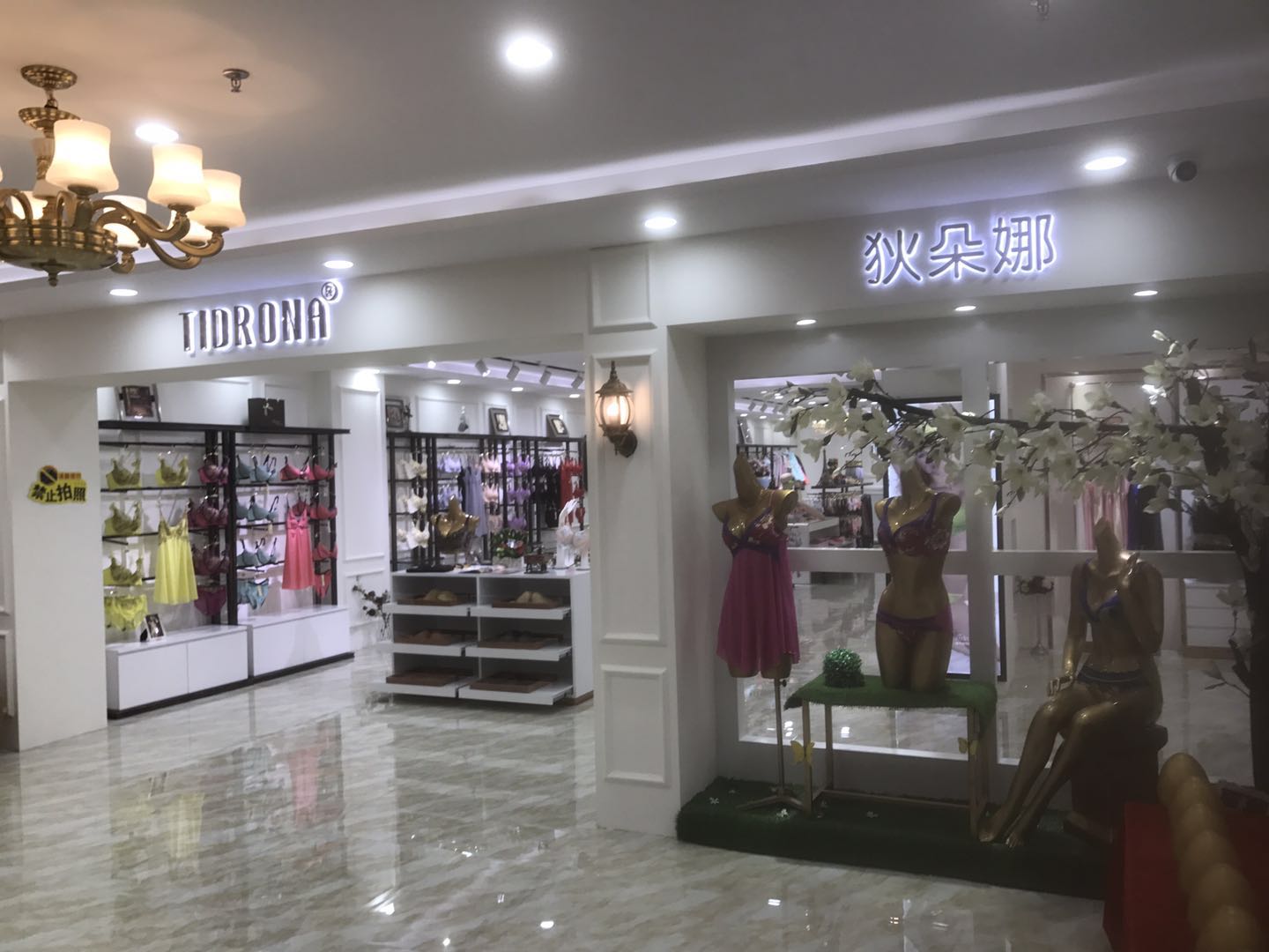广州内衣加盟店10大品牌，狄朵娜内衣十年行业经验（图）_1