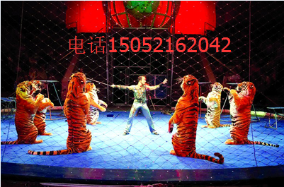 皇家馬戲團(tuán)出租正規(guī)馬戲團(tuán)雜技演員表演節(jié)目_1