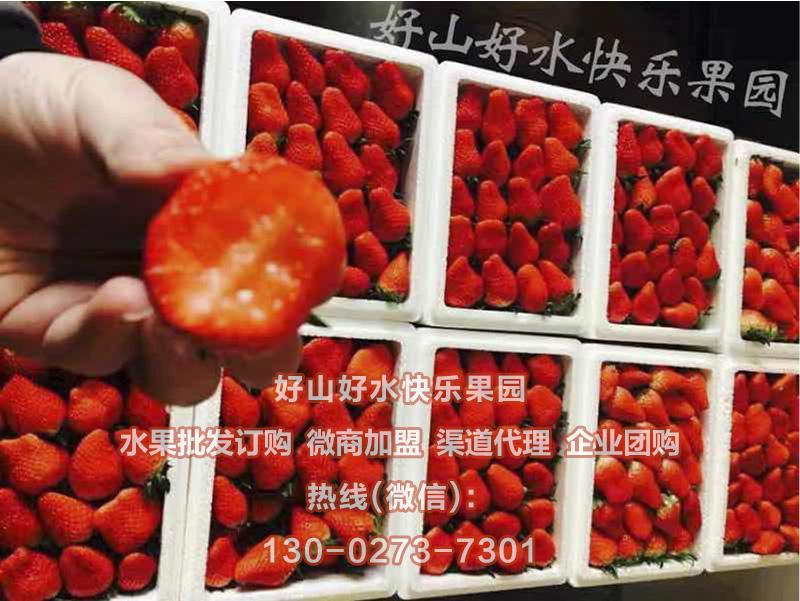 南方地区生态草莓直供，一手货源，可企业团购，微商分销批发_1