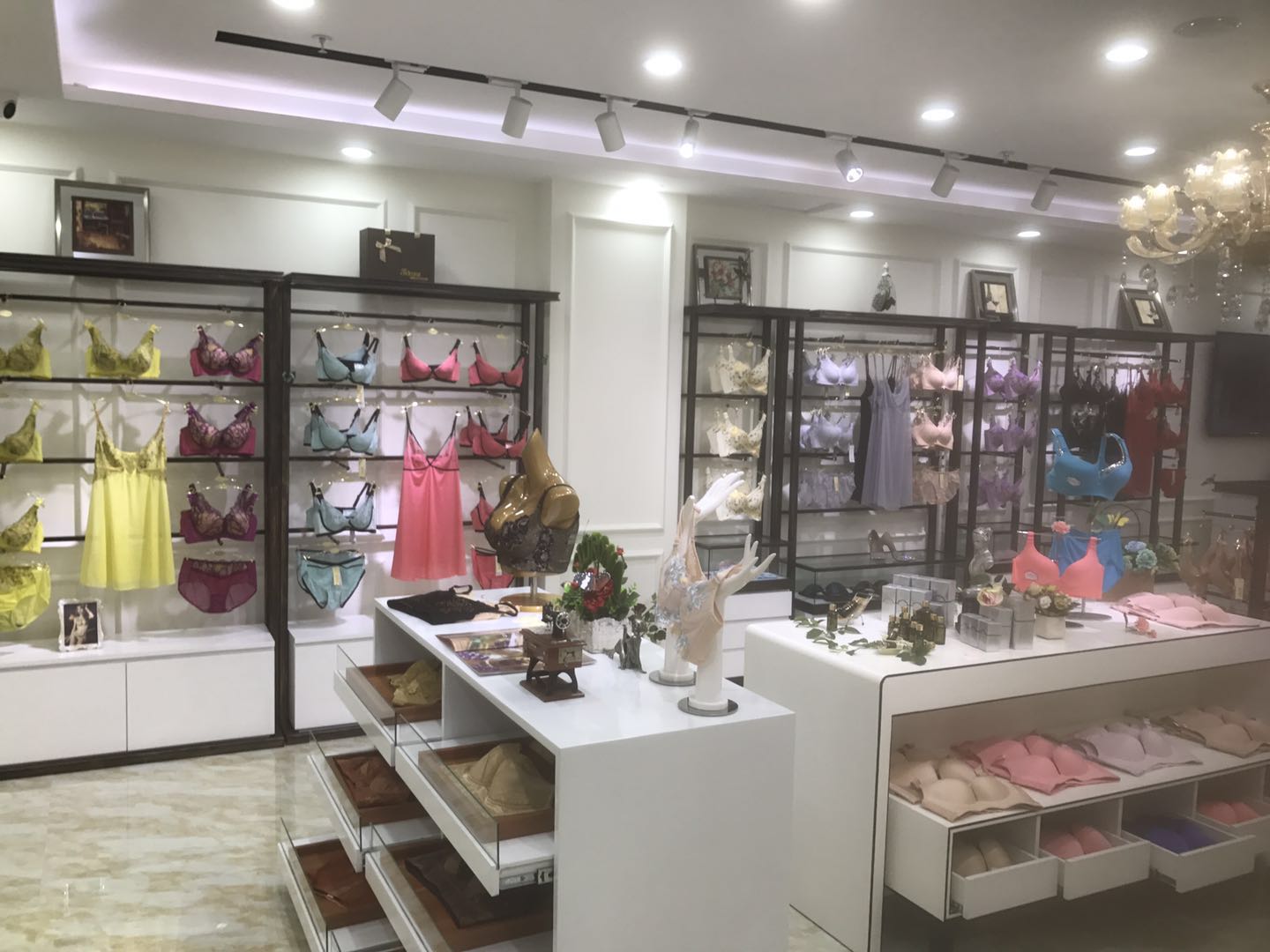 廣州內(nèi)衣加盟排行榜，狄朵娜內(nèi)衣短期回本（圖）_1