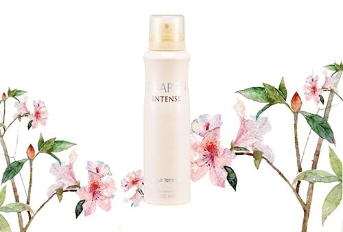 迪拉瑞時尚香水噴霧，初戀般的味道（圖）_1