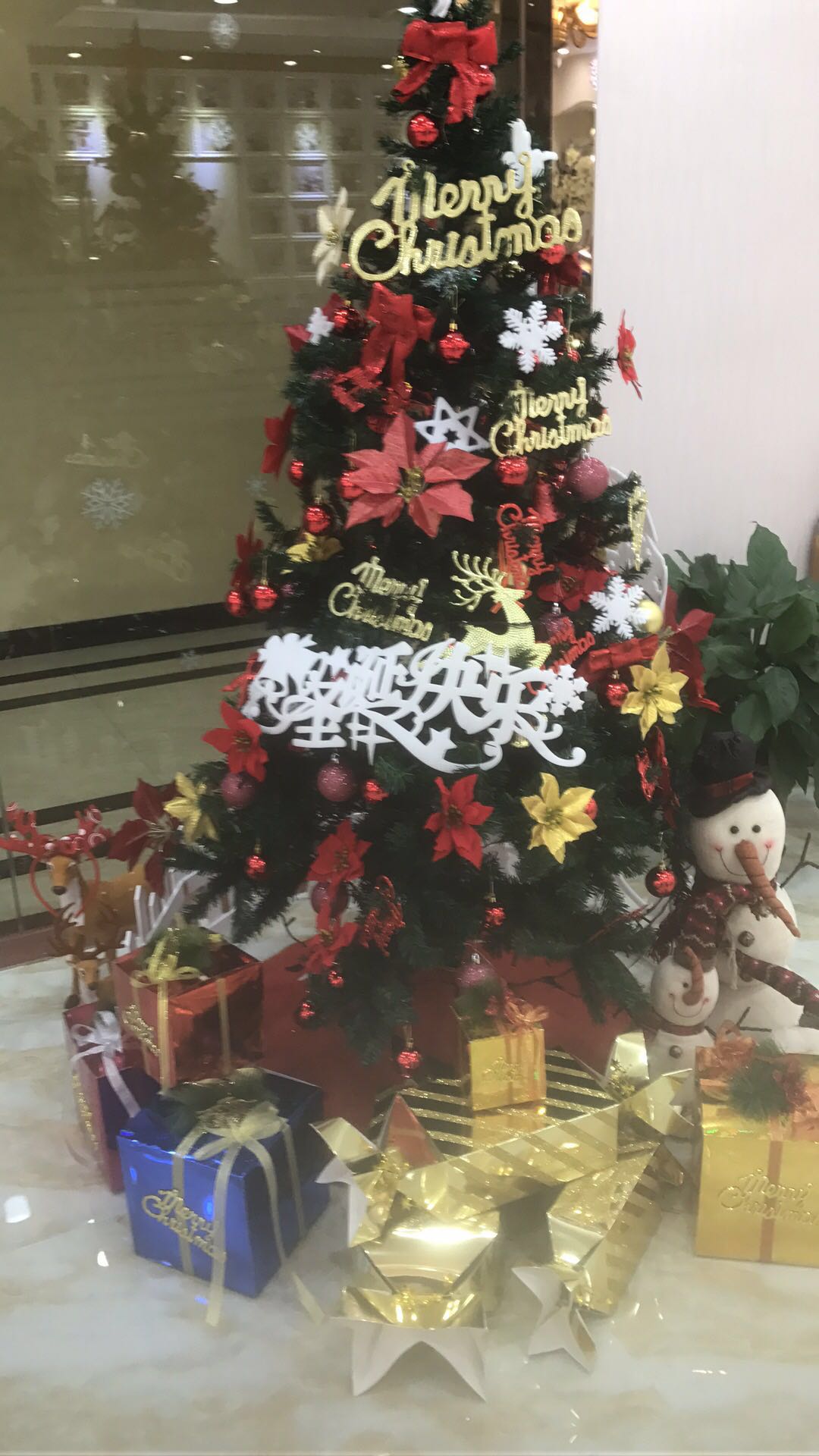 廣州加盟內衣店牌行榜，狄朵娜內衣一站扶持_1