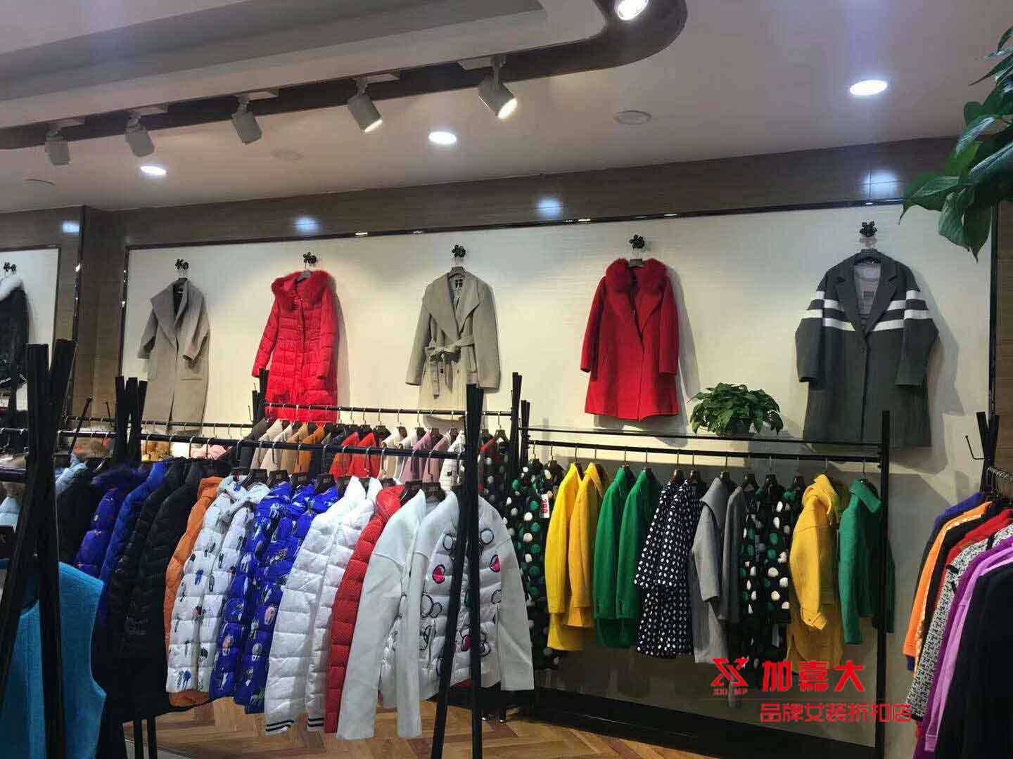 品牌加盟店女裝，加盟廣州加嘉大女裝一眼識(shí)破騙局（圖）_1