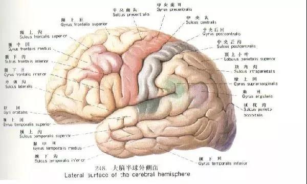 女孩学不好数学，男孩学不好语文？99%的父母都忽略了这个问题！（图）_4