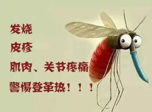 美詩(shī)固門(mén)窗丨登革熱侵襲，防蚊滅蚊很關(guān)鍵?。▓D）_1