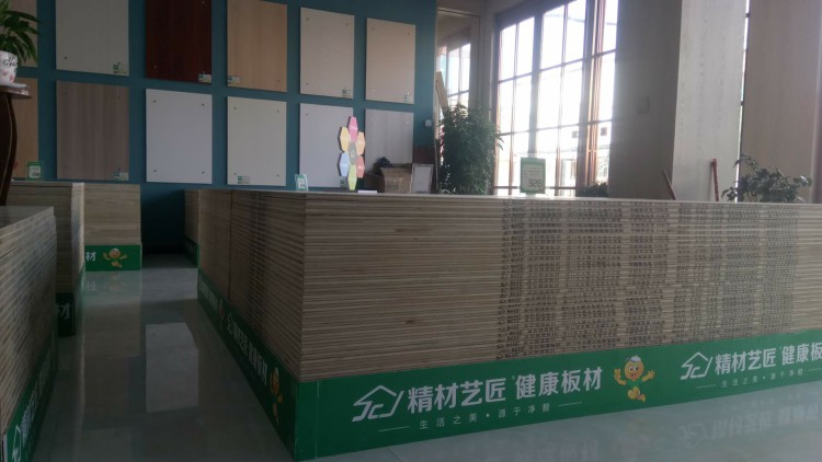 板材加盟，中国品牌精材艺匠全屋易装+河南漯河专卖店_4