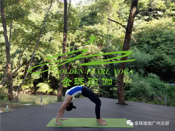 金珠瑜伽學員畢業(yè)感言（一）遇見金珠——黎偉霞（圖）_2