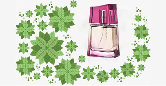 充滿自然氣息的天然香料香水，迪拉瑞帶你遨游大自然（圖）_2