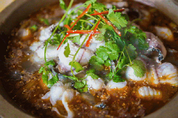 湖南哪里有石鍋魚培訓(xùn)？_1