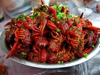 湖南油燜大蝦培訓(xùn)機(jī)構(gòu)（圖）_2