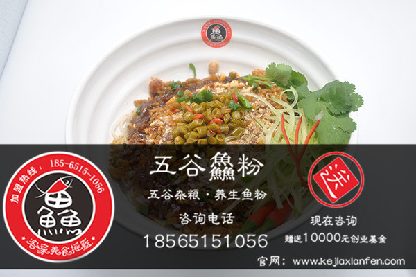 養(yǎng)生五谷魚粉加盟怎么樣？養(yǎng)生五谷魚粉加盟現(xiàn)在好賺錢嗎？_2