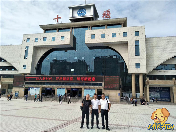 米卡迪攜手五堰新天地打造1700㎡十堰地區(qū)最大兒童城（圖）_1