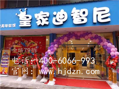 皇家迪智尼__儿童益智玩具租赁店的开店方法！（图）_1