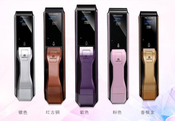 畢加索P1智能門鎖招代理商_1