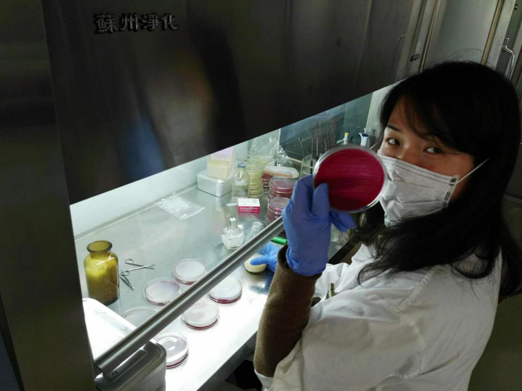 伊莱特抗菌实验（河南省畜牧研究所）（图）_7