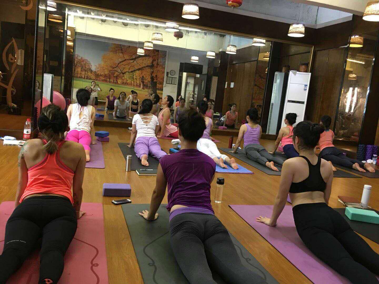 瑜伽的能量，充滿了活力_2