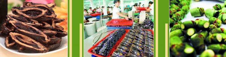 喜妹檳榔加盟_4