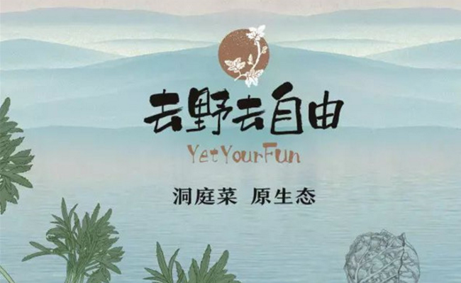 野有飯野菜炒飯加盟_1