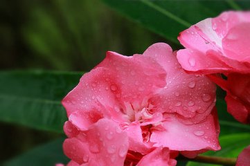 金珠瑜伽，感恩有你_1