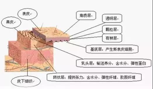 美容加盟店护肤品为什么要成套使用？原来真相是这样的（图）_2