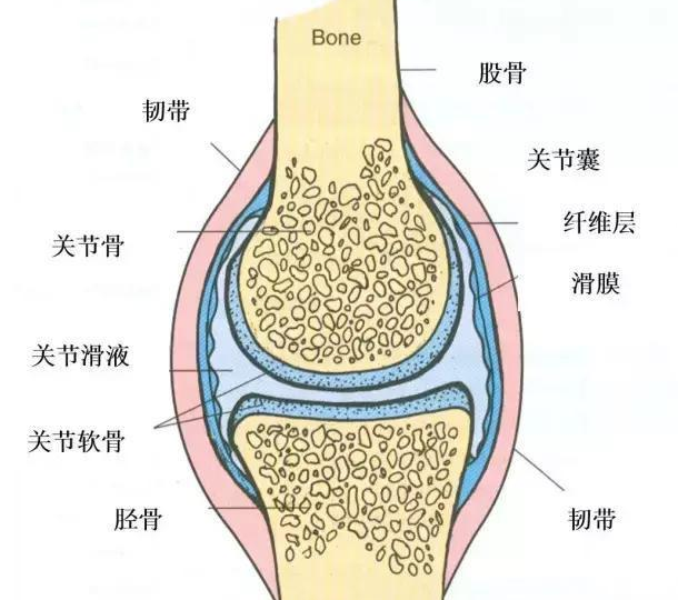 什么是滑膜炎用中医的改善方法!（图）_1