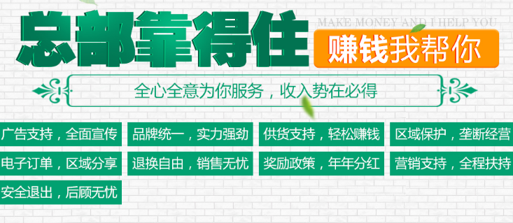 皇者集成墻板投資分析_1