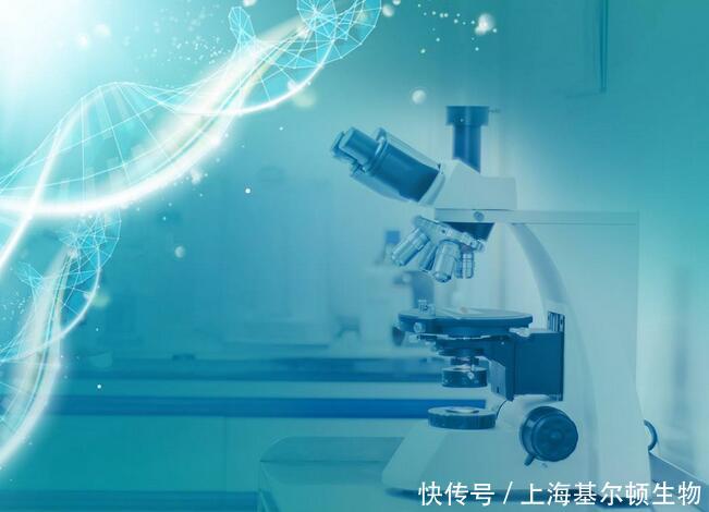 投稿必看：为什么你就是发不了SCI？过来人告诉你这些雷区不要踩！（图）_2