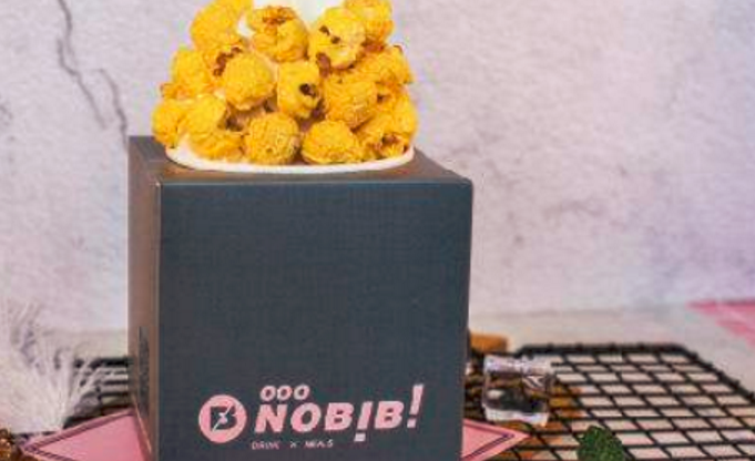 NOBIBI冰淇淋加盟_1