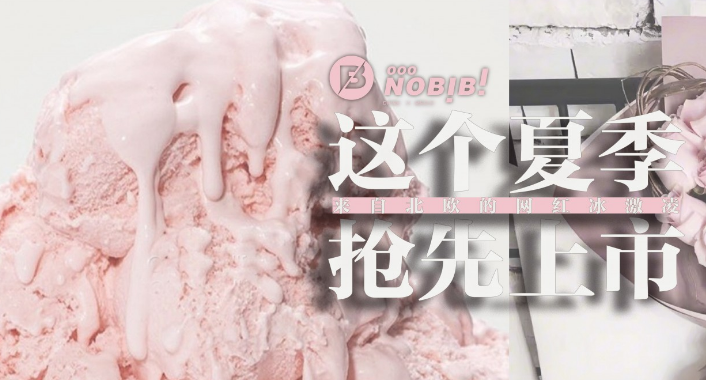 NOBIBI冰淇淋加盟_3