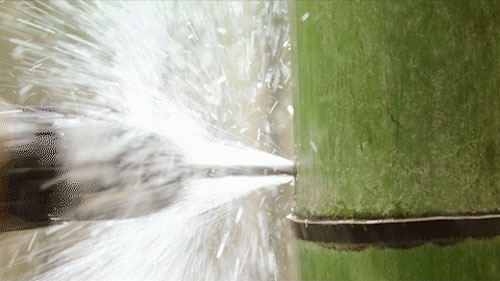 哪家餐飲店用零激素的雞？零激素的雞有什么好處？（圖）_2