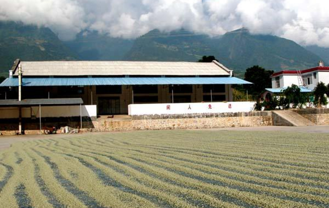 云嶺咖啡加盟_2