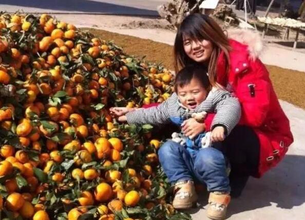 微商小白0收入到月收入過萬，氧趣劉麗是怎么做到的？（圖）_4