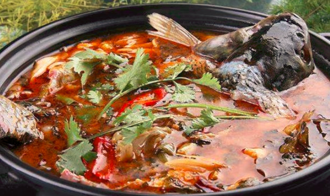 九哥石斑魚火鍋加盟_4