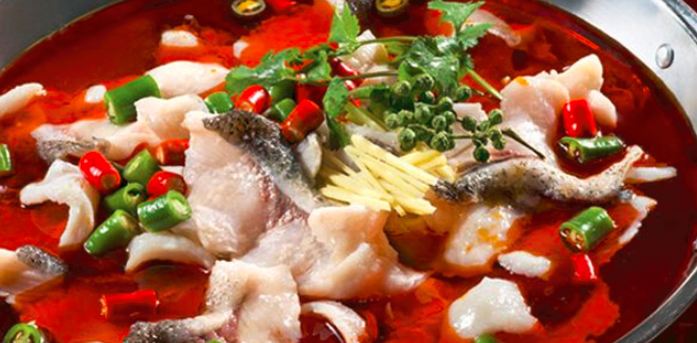 九哥石斑魚火鍋加盟_3