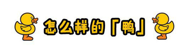 宜尚酒店B、Duck小黄鸭主题房武汉?成都?长沙正式上线啦（图）_2