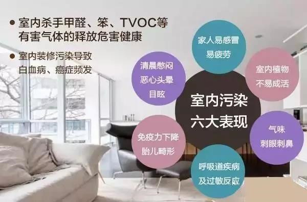 家裝甲醛怎么辦金煌綠色整裝成家裝環(huán)保新潮流（圖）_1