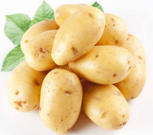 什么方法祛疤效果好？安佩麗絲圓了夢(mèng)！_2