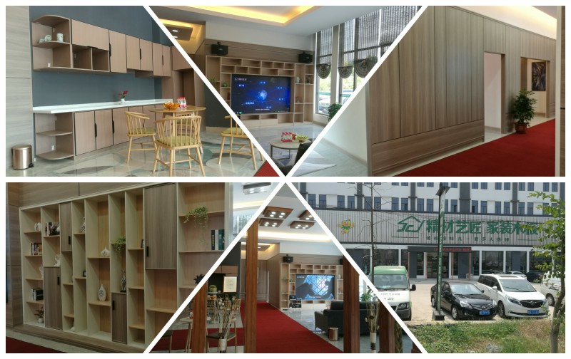 中国定制板材10大品牌,精材艺匠全屋易装展厅（图）_6